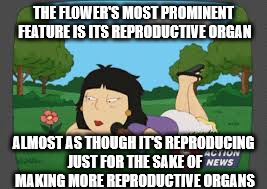 THE FLOWER'S MOST PROMINENT FEATURE IS ITS REPRODUCTIVE ORGAN; ALMOST AS THOUGH IT'S REPRODUCING JUST FOR THE SAKE OF MAKING MORE REPRODUCTIVE ORGANS | image tagged in trisha takanawa flower | made w/ Imgflip meme maker