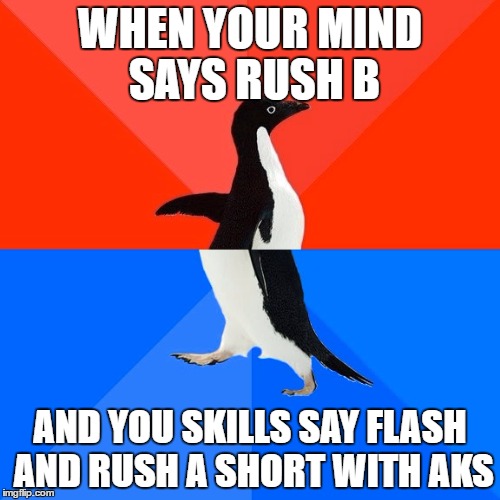 Socially Awesome Awkward Penguin Meme | WHEN YOUR MIND SAYS RUSH B; AND YOU SKILLS SAY FLASH AND RUSH A SHORT WITH AKS | image tagged in memes,socially awesome awkward penguin | made w/ Imgflip meme maker