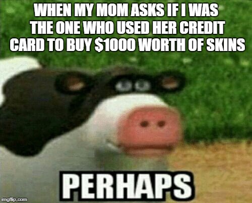 perhaps | WHEN MY MOM ASKS IF I WAS THE ONE WHO USED HER CREDIT CARD TO BUY $1000 WORTH OF SKINS | image tagged in perhaps | made w/ Imgflip meme maker