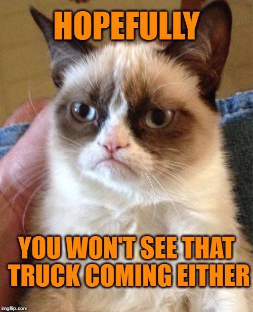 Grumpy Cat Meme | HOPEFULLY YOU WON'T SEE THAT TRUCK COMING EITHER | image tagged in memes,grumpy cat | made w/ Imgflip meme maker