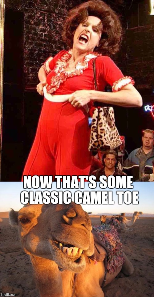 Any Sally O'Malley fans out there?  | NOW THAT'S SOME CLASSIC CAMEL TOE | image tagged in jbmemegeek,sally o'malley,snl,saturday night live,camel toe | made w/ Imgflip meme maker