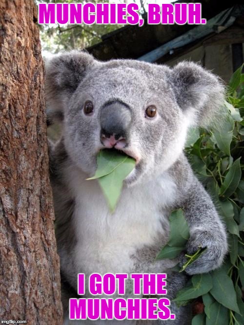 Surprised Koala Meme | MUNCHIES, BRUH. I GOT THE MUNCHIES. | image tagged in memes,surprised koala | made w/ Imgflip meme maker