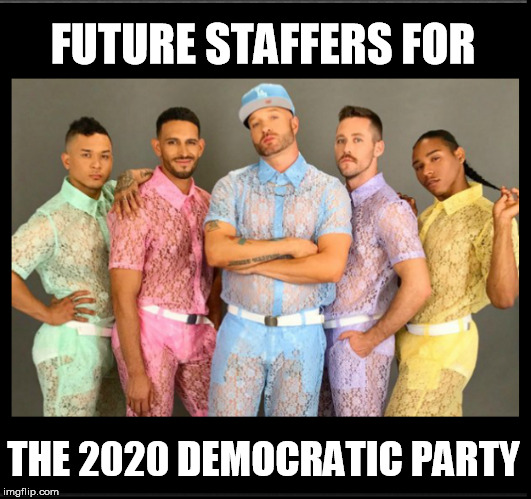 FUTURE STAFFERS FOR; THE 2020 DEMOCRATIC PARTY | image tagged in democrat party | made w/ Imgflip meme maker