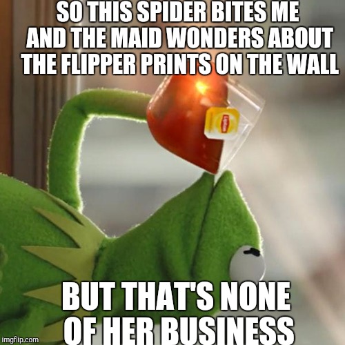 It's driving him up the wall. | SO THIS SPIDER BITES ME AND THE MAID WONDERS ABOUT THE FLIPPER PRINTS ON THE WALL; BUT THAT'S NONE OF HER BUSINESS | image tagged in memes,but thats none of my business,kermit the frog,funny,spiderman,spidey | made w/ Imgflip meme maker