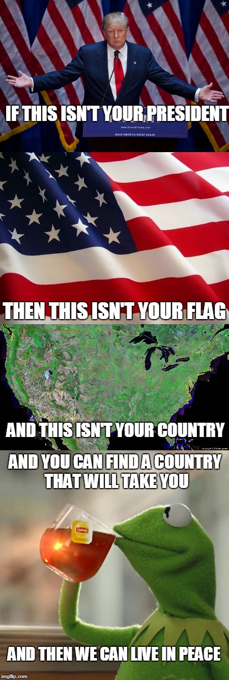 Because it needs to be said | IF THIS ISN'T YOUR PRESIDENT; THEN THIS ISN'T YOUR FLAG; AND THIS ISN'T YOUR COUNTRY; AND YOU CAN FIND A COUNTRY THAT WILL TAKE YOU; AND THEN WE CAN LIVE IN PEACE | image tagged in memes,donald trump,stupid liberals | made w/ Imgflip meme maker