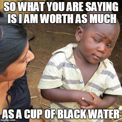 Third World Skeptical Kid Meme | SO WHAT YOU ARE SAYING IS I AM WORTH AS MUCH; AS A CUP OF BLACK WATER | image tagged in memes,third world skeptical kid | made w/ Imgflip meme maker