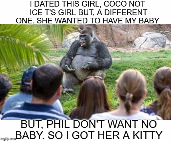 Coco love Gorillosopher  | I DATED THIS GIRL, COCO NOT ICE T'S GIRL BUT, A DIFFERENT ONE. SHE WANTED TO HAVE MY BABY; BUT, PHIL DON'T WANT NO BABY. SO I GOT HER A KITTY | image tagged in gorilla lecture,memes,funny,coco,philosophical | made w/ Imgflip meme maker