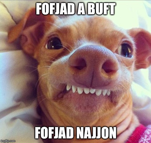 Tuna Dog | FOFJAD A BUFT; FOFJAD NAJJON | image tagged in tuna dog | made w/ Imgflip meme maker