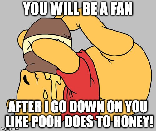 Winnie the Pooh | YOU WILL BE A FAN; AFTER I GO DOWN ON YOU LIKE POOH DOES TO HONEY! | image tagged in winnie the pooh | made w/ Imgflip meme maker