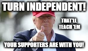 Teach Them ALL a Lesson | TURN INDEPENDENT! THAT'LL TEACH 'EM; YOUR SUPPORTERS ARE WITH YOU! | image tagged in donald trump,president trump,politics,political,political meme | made w/ Imgflip meme maker