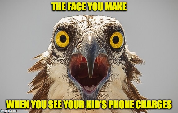 Shock Treatment | THE FACE YOU MAKE; WHEN YOU SEE YOUR KID'S PHONE CHARGES | image tagged in phone bill | made w/ Imgflip meme maker