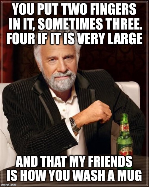 Let me tell you a secret  | YOU PUT TWO FINGERS IN IT, SOMETIMES THREE. FOUR IF IT IS VERY LARGE; AND THAT MY FRIENDS IS HOW YOU WASH A MUG | image tagged in memes,the most interesting man in the world,funny | made w/ Imgflip meme maker