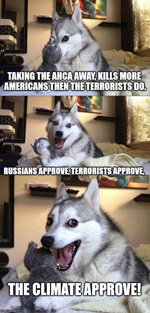 Bad Pun Dog Meme | TAKING THE AHCA AWAY, KILLS MORE AMERICANS THEN THE TERRORISTS DO. RUSSIANS APPROVE, TERRORISTS APPROVE, THE CLIMATE APPROVE! | image tagged in memes,bad pun dog | made w/ Imgflip meme maker