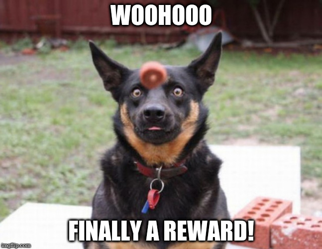 WOOHOOO; FINALLY A REWARD! | made w/ Imgflip meme maker