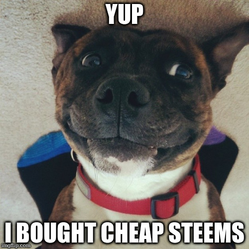 YUP; I BOUGHT CHEAP STEEMS | made w/ Imgflip meme maker