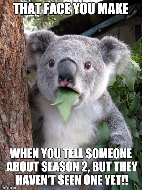 Surprised Koala Meme | THAT FACE YOU MAKE; WHEN YOU TELL SOMEONE ABOUT SEASON 2, BUT THEY HAVEN'T SEEN ONE YET!! | image tagged in memes,surprised koala | made w/ Imgflip meme maker
