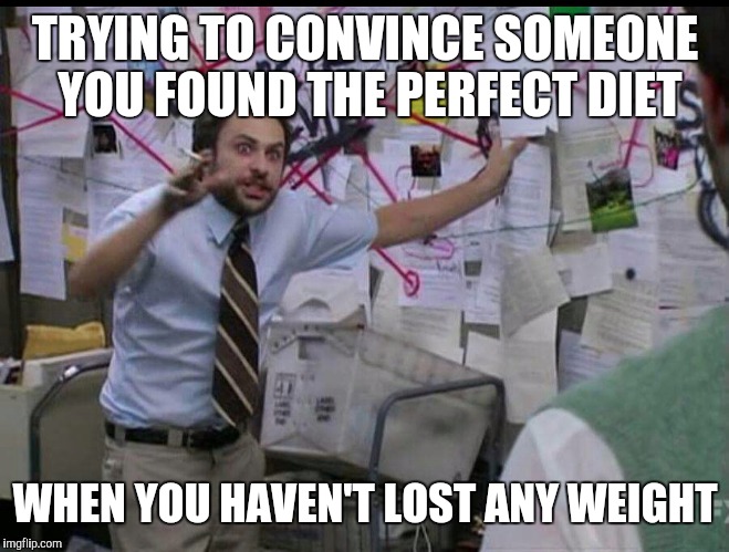 Trying to explain | TRYING TO CONVINCE SOMEONE YOU FOUND THE PERFECT DIET; WHEN YOU HAVEN'T LOST ANY WEIGHT | image tagged in trying to explain | made w/ Imgflip meme maker