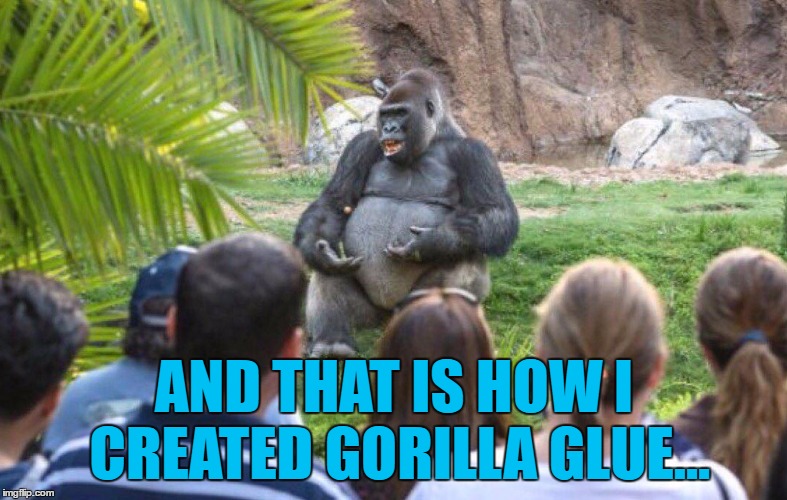 He then sold the company for a small fortune... :) | AND THAT IS HOW I CREATED GORILLA GLUE... | image tagged in gorilla lecture,memes,animals,gorilla,gorilla glue,zoo | made w/ Imgflip meme maker