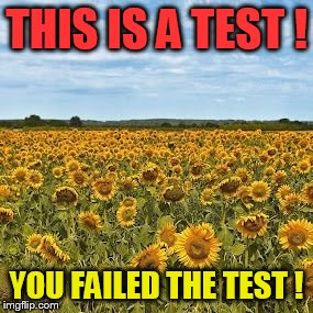 Dank you, imgflip !!! | THIS IS A TEST ! YOU FAILED THE TEST ! | image tagged in much complexity,find the hidden doge,must use magnification,simply wow | made w/ Imgflip meme maker