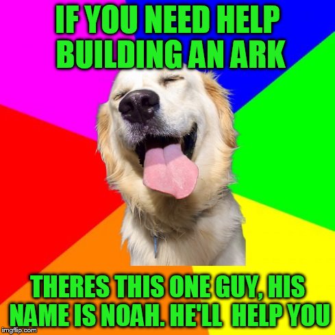 Anti Pun Dog | IF YOU NEED HELP BUILDING AN ARK; THERES THIS ONE GUY, HIS NAME IS NOAH. HE'LL  HELP YOU | image tagged in anti pun dog | made w/ Imgflip meme maker