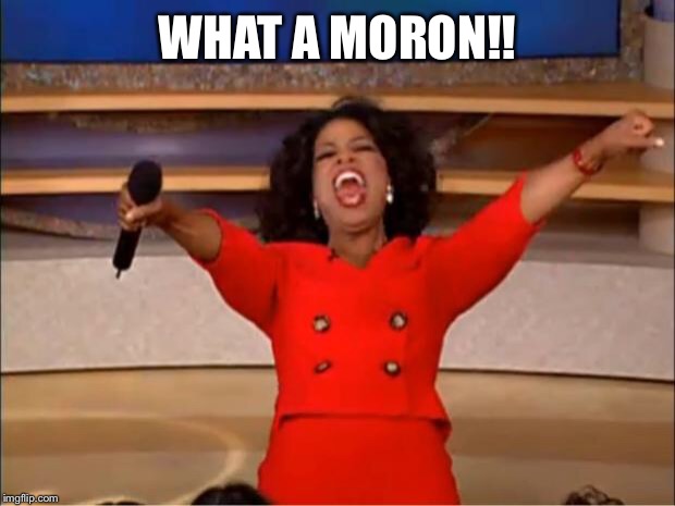 Oprah You Get A Meme | WHAT A MORON!! | image tagged in memes,oprah you get a | made w/ Imgflip meme maker