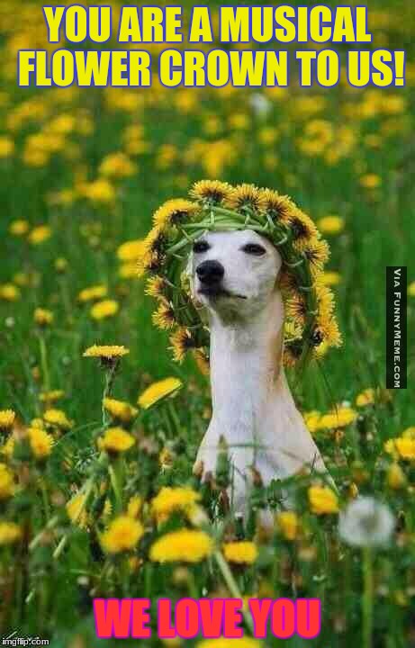 Dog at music festival | YOU ARE A MUSICAL FLOWER CROWN TO US! WE LOVE YOU | image tagged in dog at music festival | made w/ Imgflip meme maker