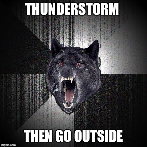 Insanity Wolf | THUNDERSTORM; THEN GO OUTSIDE | image tagged in memes,insanity wolf,thunderstorm,thunderstruck,struck by lightning | made w/ Imgflip meme maker