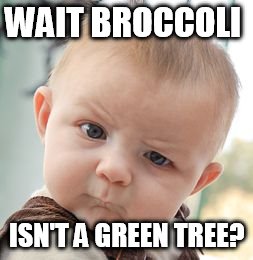 Skeptical Baby | WAIT BROCCOLI; ISN'T A GREEN TREE? | image tagged in memes,skeptical baby | made w/ Imgflip meme maker