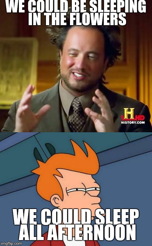 The bartender just cut me off for declaring i was an island, fkr | WE COULD BE SLEEPING IN THE FLOWERS; WE COULD SLEEP ALL AFTERNOON | image tagged in ancient aliens,futurama fry,drinking,music | made w/ Imgflip meme maker