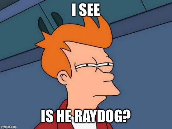 Futurama Fry Meme | I SEE IS HE RAYDOG? | image tagged in memes,futurama fry | made w/ Imgflip meme maker