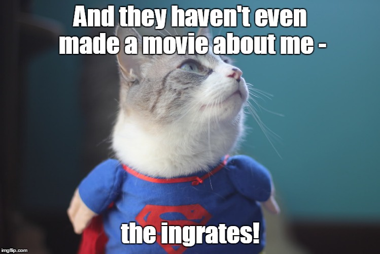 And they haven't even made a movie about me - the ingrates! | made w/ Imgflip meme maker