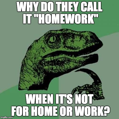 Homework  - not for Home or Work | WHY DO THEY CALL IT "HOMEWORK"; WHEN IT'S NOT FOR HOME OR WORK? | image tagged in memes,philosoraptor,homework | made w/ Imgflip meme maker