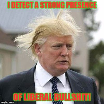 Donald Trump | I DETECT A STRONG PRESENCE; OF LIBERAL BULLSHIT! | image tagged in donald trump | made w/ Imgflip meme maker