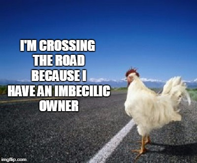 I'M CROSSING THE ROAD BECAUSE I HAVE AN IMBECILIC OWNER | made w/ Imgflip meme maker