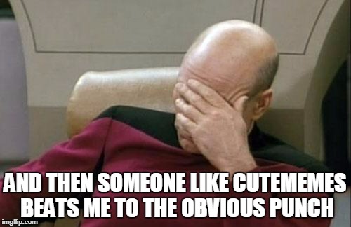 Captain Picard Facepalm Meme | AND THEN SOMEONE LIKE CUTEMEMES BEATS ME TO THE OBVIOUS PUNCH | image tagged in memes,captain picard facepalm | made w/ Imgflip meme maker