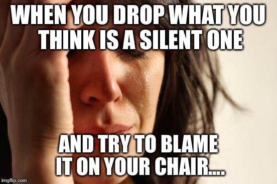 First World Problems | WHEN YOU DROP WHAT YOU THINK IS A SILENT ONE; AND TRY TO BLAME IT ON YOUR CHAIR.... | image tagged in memes,first world problems | made w/ Imgflip meme maker