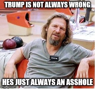 Big Lebowski | TRUMP IS NOT ALWAYS WRONG; HES JUST ALWAYS AN ASSHOLE | image tagged in big lebowski | made w/ Imgflip meme maker