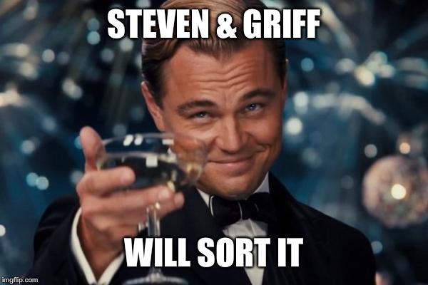 Leonardo Dicaprio Cheers Meme | STEVEN & GRIFF; WILL SORT IT | image tagged in memes,leonardo dicaprio cheers | made w/ Imgflip meme maker