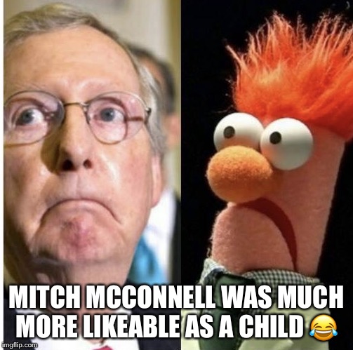 MITCH MCCONNELL WAS MUCH MORE LIKEABLE AS A CHILD 😂 | image tagged in mitch mclean mcconnell | made w/ Imgflip meme maker