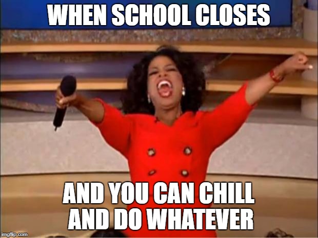 Oprah You Get A | WHEN SCHOOL CLOSES; AND YOU CAN CHILL AND DO WHATEVER | image tagged in memes,oprah you get a | made w/ Imgflip meme maker