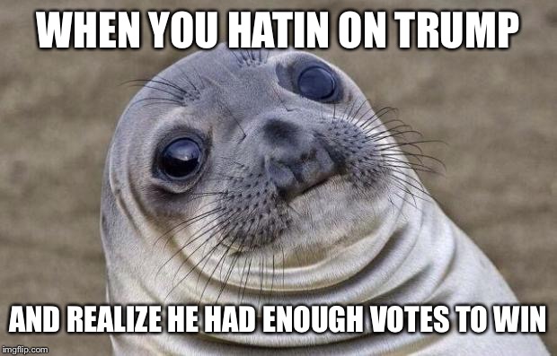 Awkward Moment Sealion | WHEN YOU HATIN ON TRUMP; AND REALIZE HE HAD ENOUGH VOTES TO WIN | image tagged in memes,awkward moment sealion | made w/ Imgflip meme maker