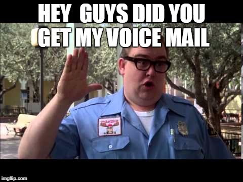 Wally World | HEY  GUYS DID YOU GET MY VOICE MAIL | image tagged in wally world | made w/ Imgflip meme maker