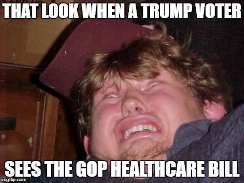 WTF | THAT LOOK WHEN A TRUMP VOTER; SEES THE GOP HEALTHCARE BILL | image tagged in memes,wtf | made w/ Imgflip meme maker