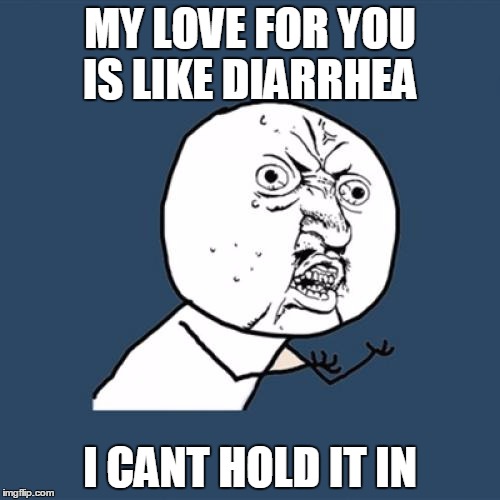 Y U No Meme | MY LOVE FOR YOU IS LIKE DIARRHEA; I CANT HOLD IT IN | image tagged in memes,y u no | made w/ Imgflip meme maker