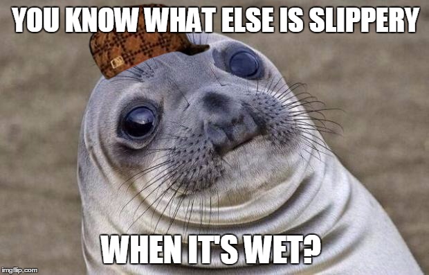 Awkward Moment Sealion Meme | YOU KNOW WHAT ELSE IS SLIPPERY; WHEN IT'S WET? | image tagged in memes,awkward moment sealion,scumbag | made w/ Imgflip meme maker