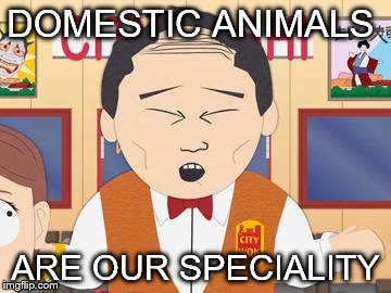 Mr Lu Kim South Park | DOMESTIC ANIMALS; ARE OUR SPECIALITY | image tagged in mr lu kim south park | made w/ Imgflip meme maker