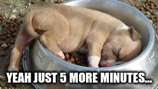 YEAH JUST 5 MORE MINUTES... | made w/ Imgflip meme maker