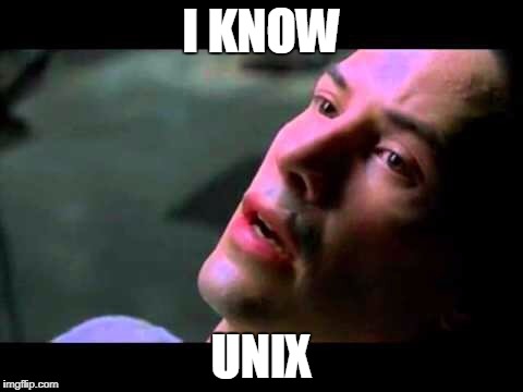 Neo kung fu | I KNOW; UNIX | image tagged in neo kung fu | made w/ Imgflip meme maker