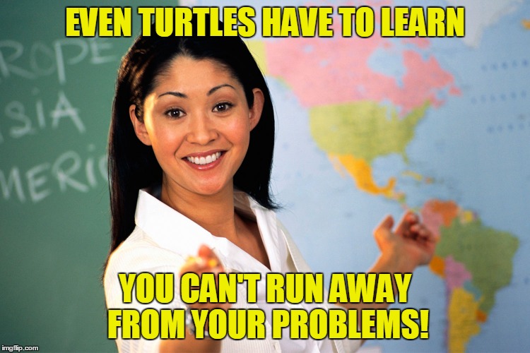 EVEN TURTLES HAVE TO LEARN YOU CAN'T RUN AWAY FROM YOUR PROBLEMS! | made w/ Imgflip meme maker