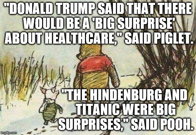 Pooh Piglet | "DONALD TRUMP SAID THAT THERE WOULD BE A 'BIG SURPRISE' ABOUT HEALTHCARE," SAID PIGLET. "THE HINDENBURG AND TITANIC WERE BIG SURPRISES," SAID POOH. | image tagged in pooh piglet | made w/ Imgflip meme maker